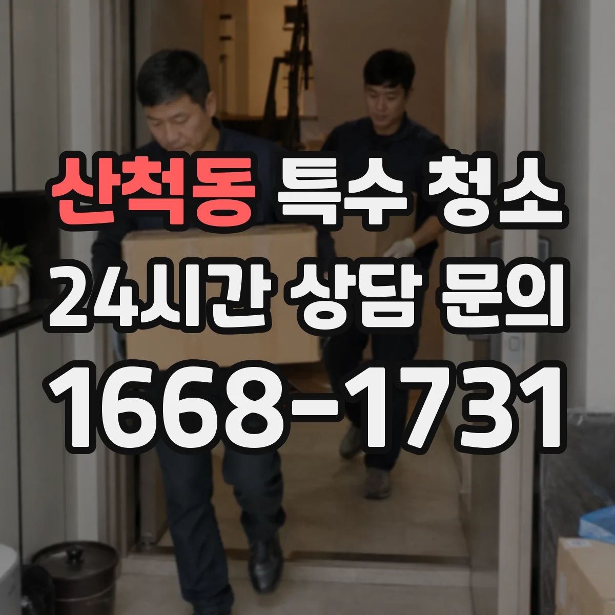 산척동 특수 청소