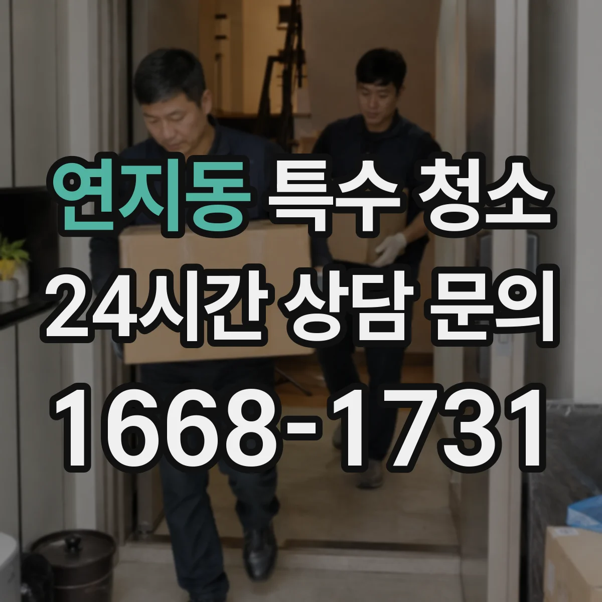 연지동 특수 청소