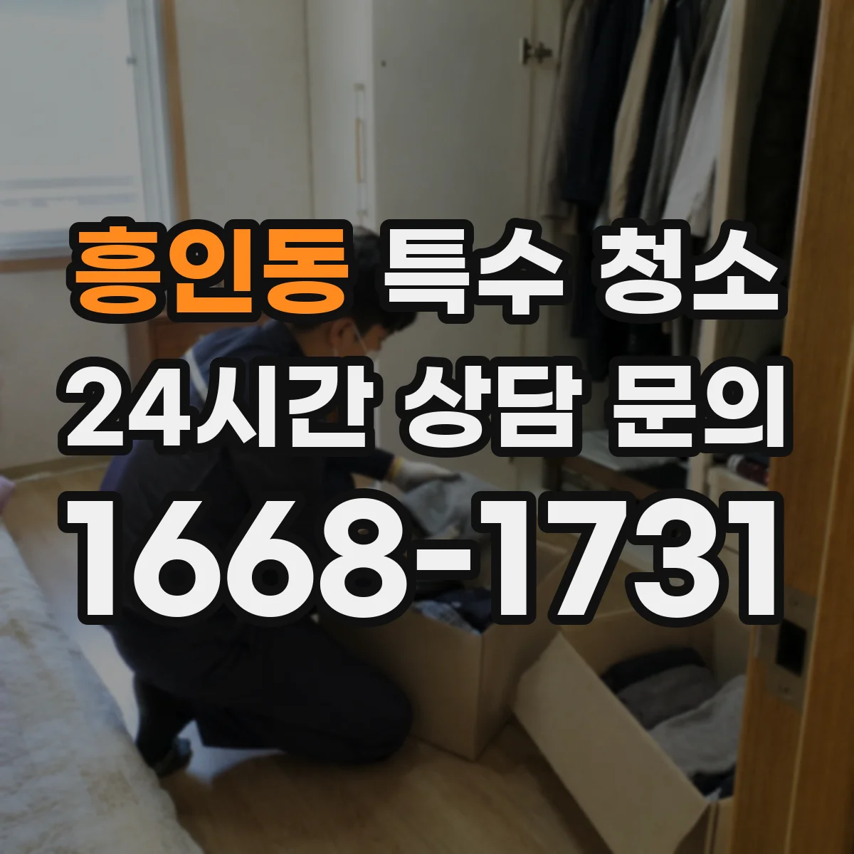 흥인동 특수 청소