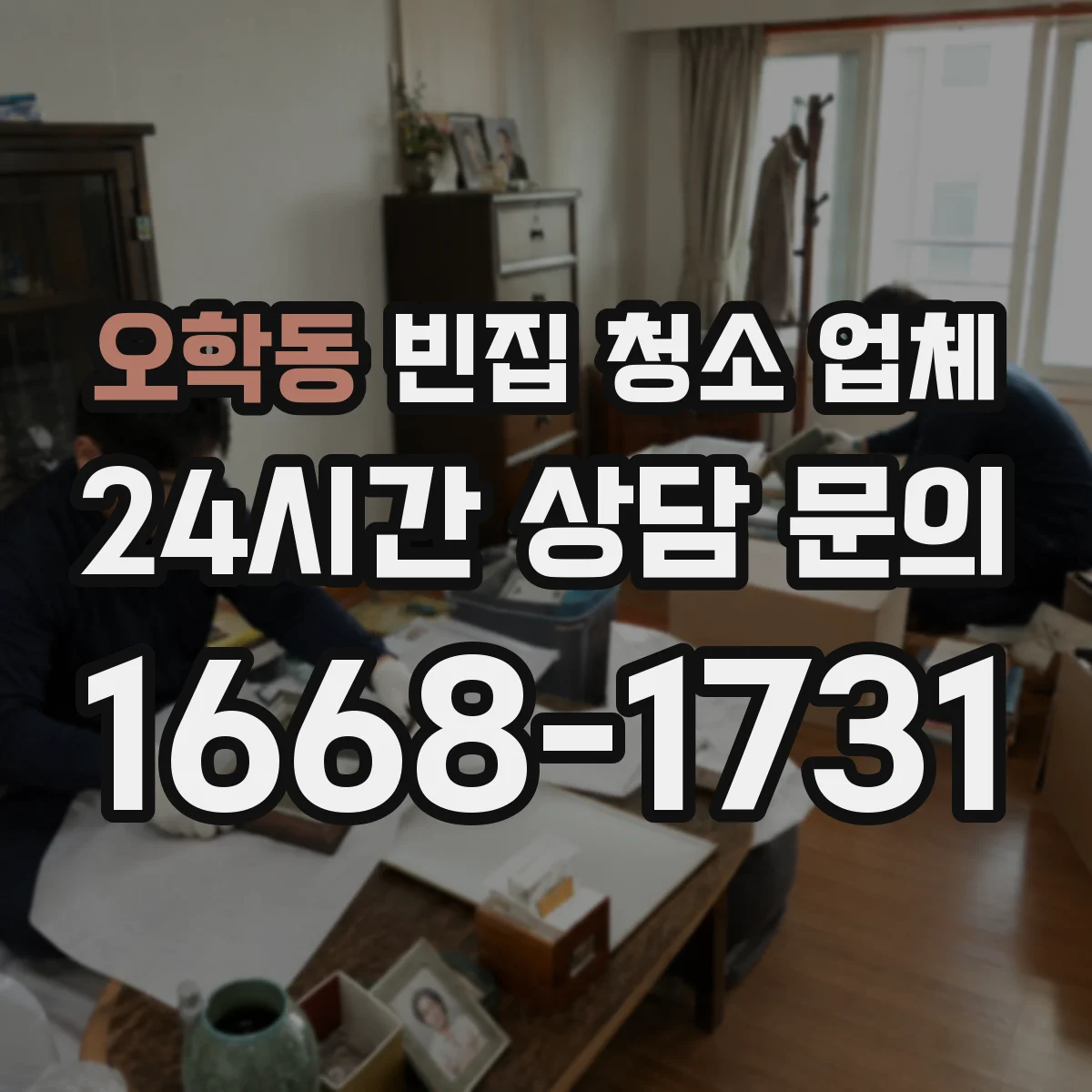 오학동 빈집 청소 업체