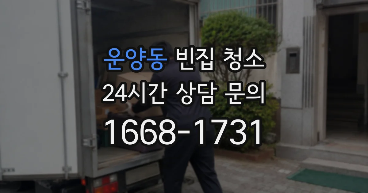 운양동 빈집 청소