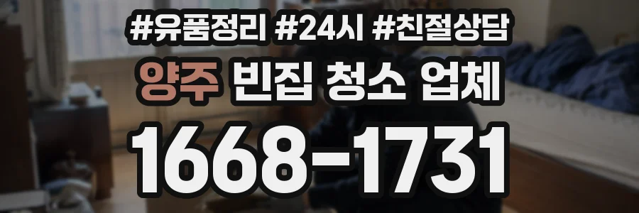 양주 빈집 청소 업체