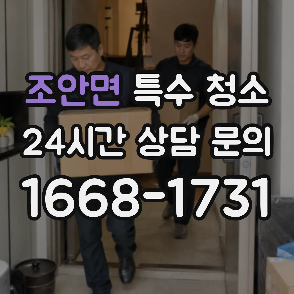 조안면 특수 청소