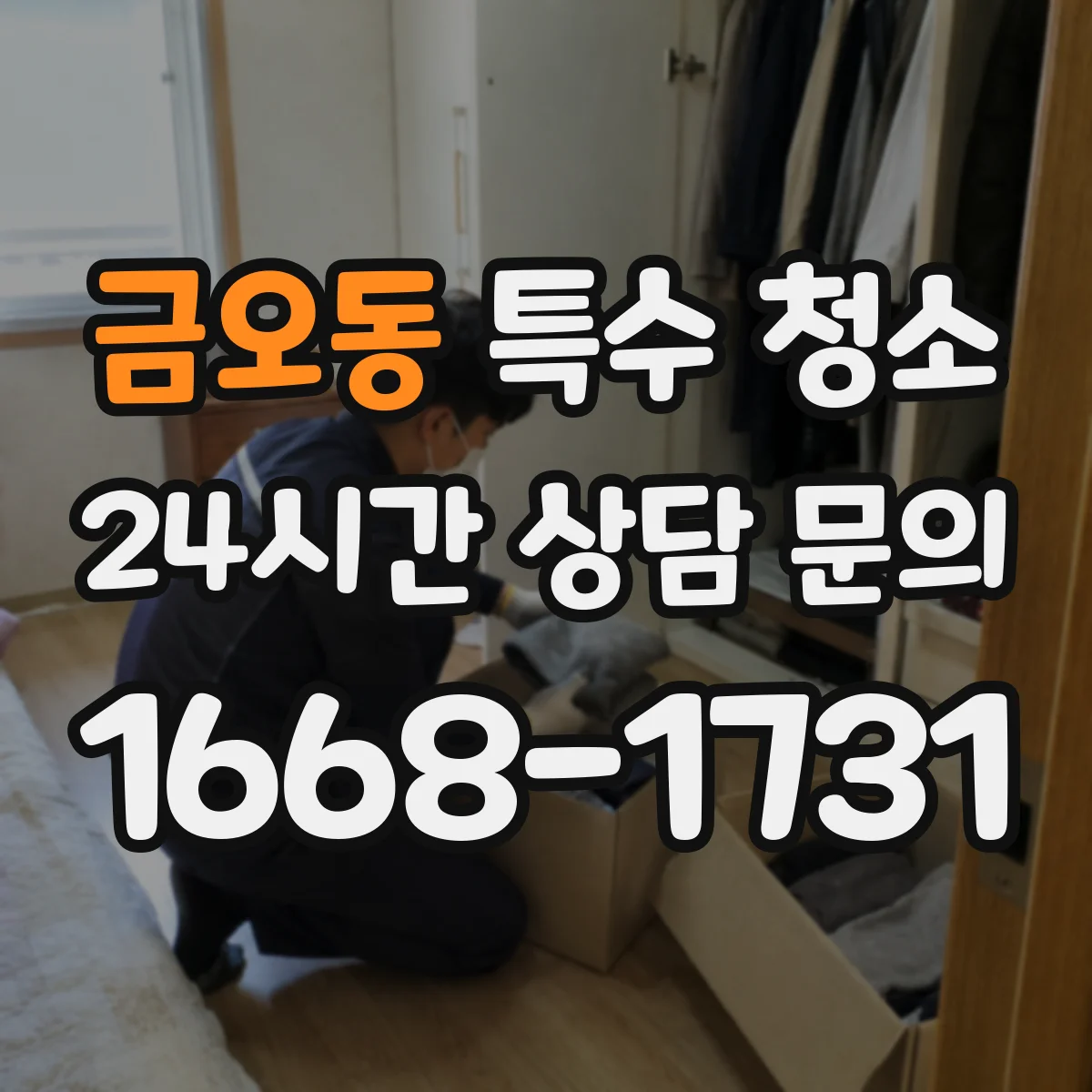 금오동 특수 청소