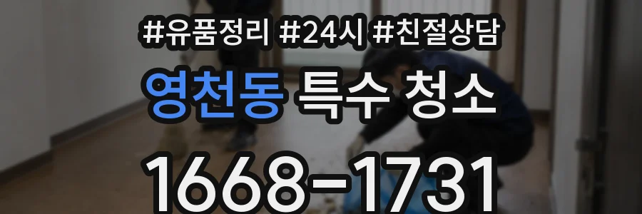영천동 특수 청소