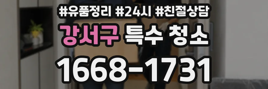 강서구 특수 청소