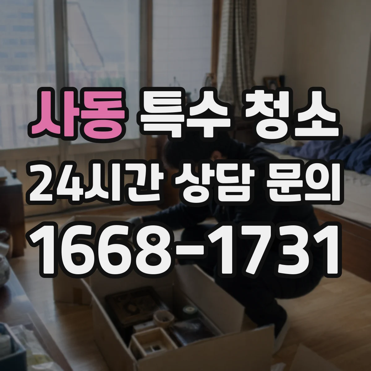 사동 특수 청소