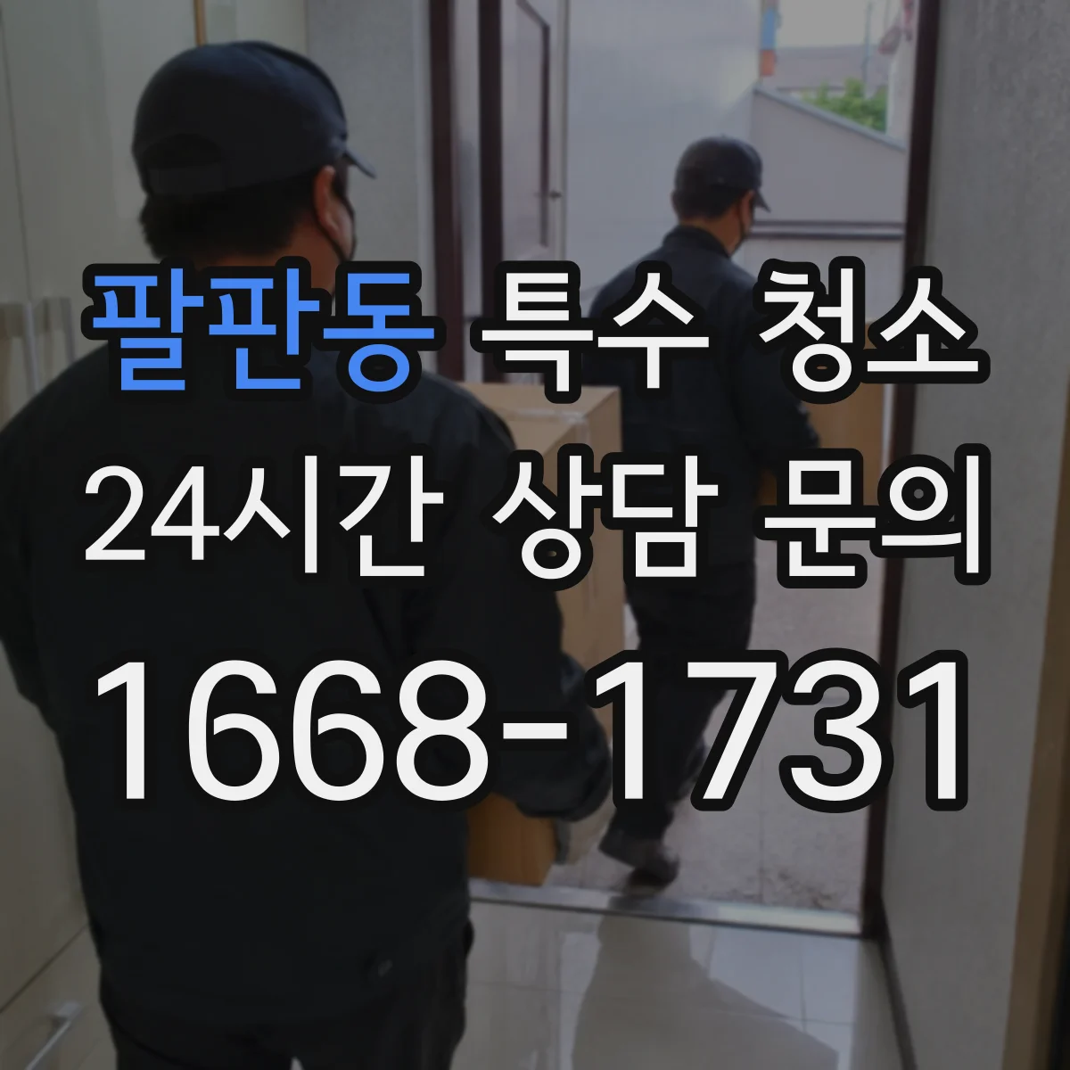 팔판동 특수 청소