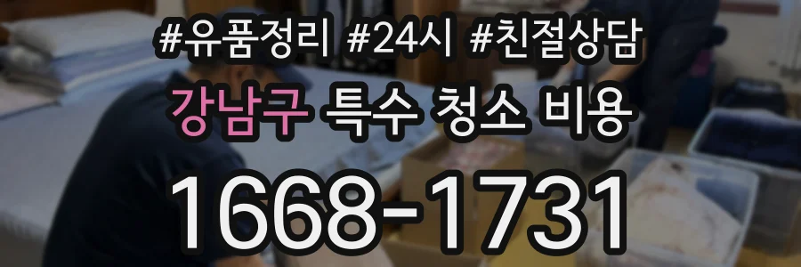 강남구 특수 청소 비용