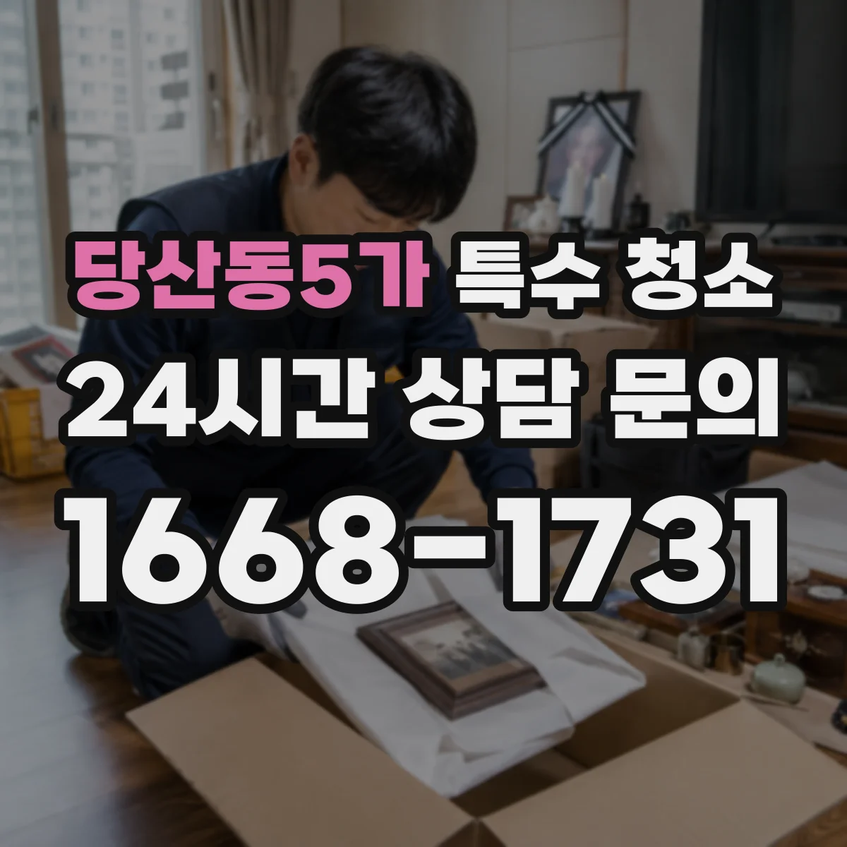 당산동5가 특수 청소