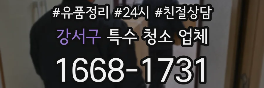 강서구 특수 청소 업체