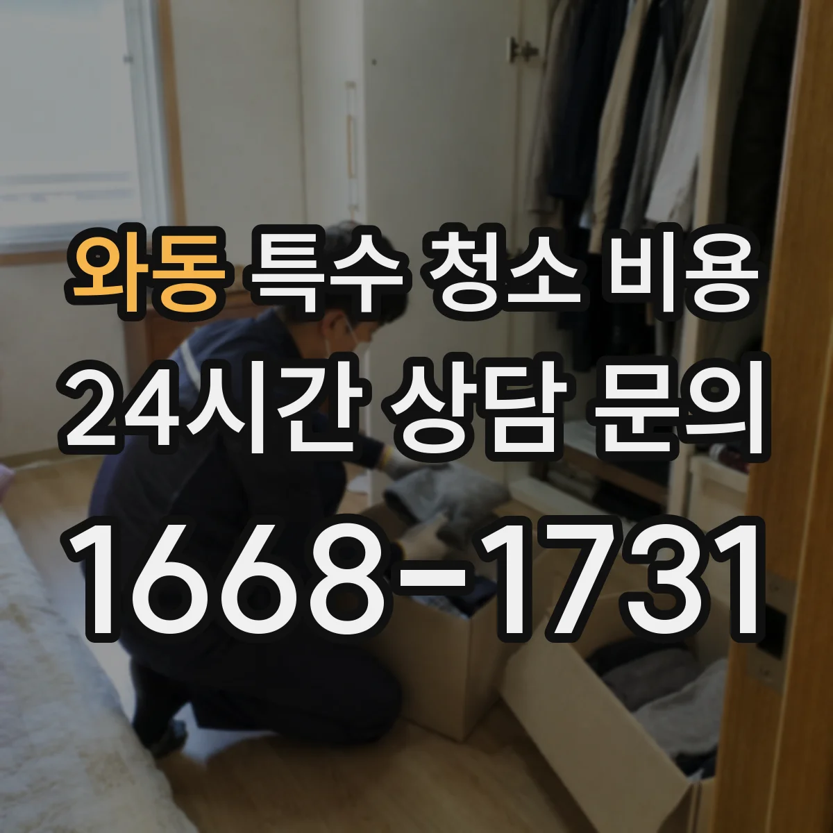 와동 특수 청소 비용