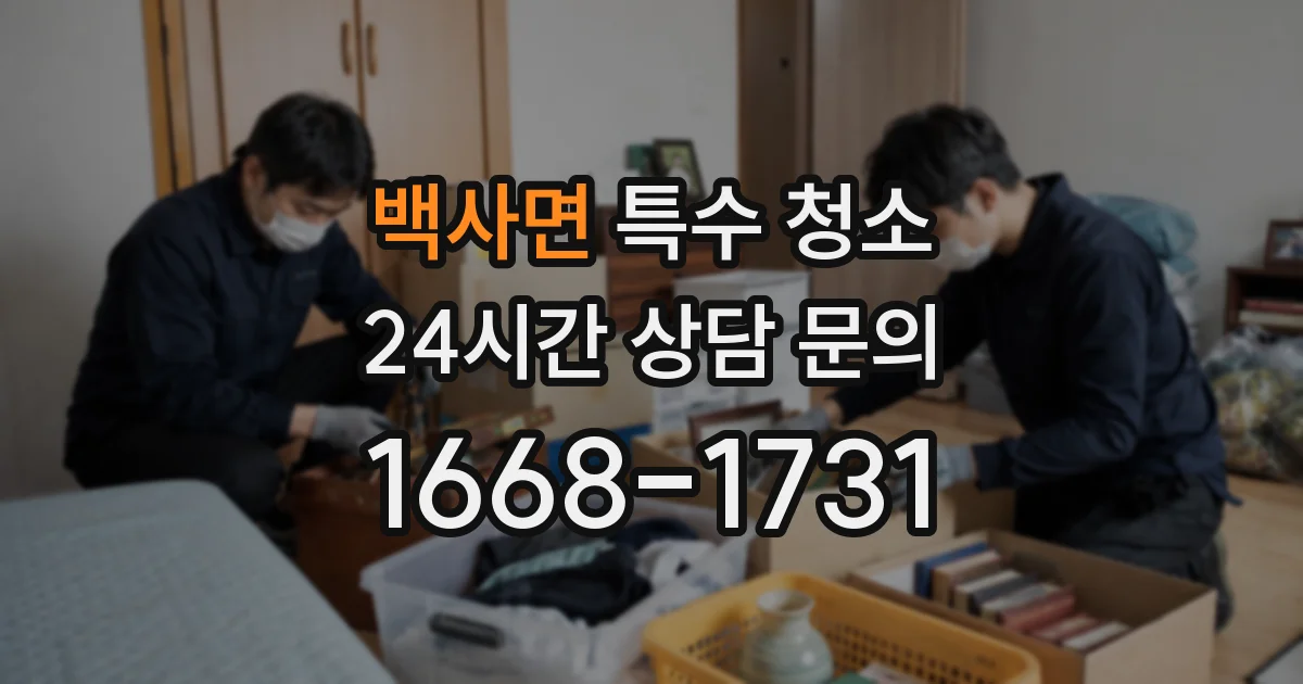 백사면 특수 청소