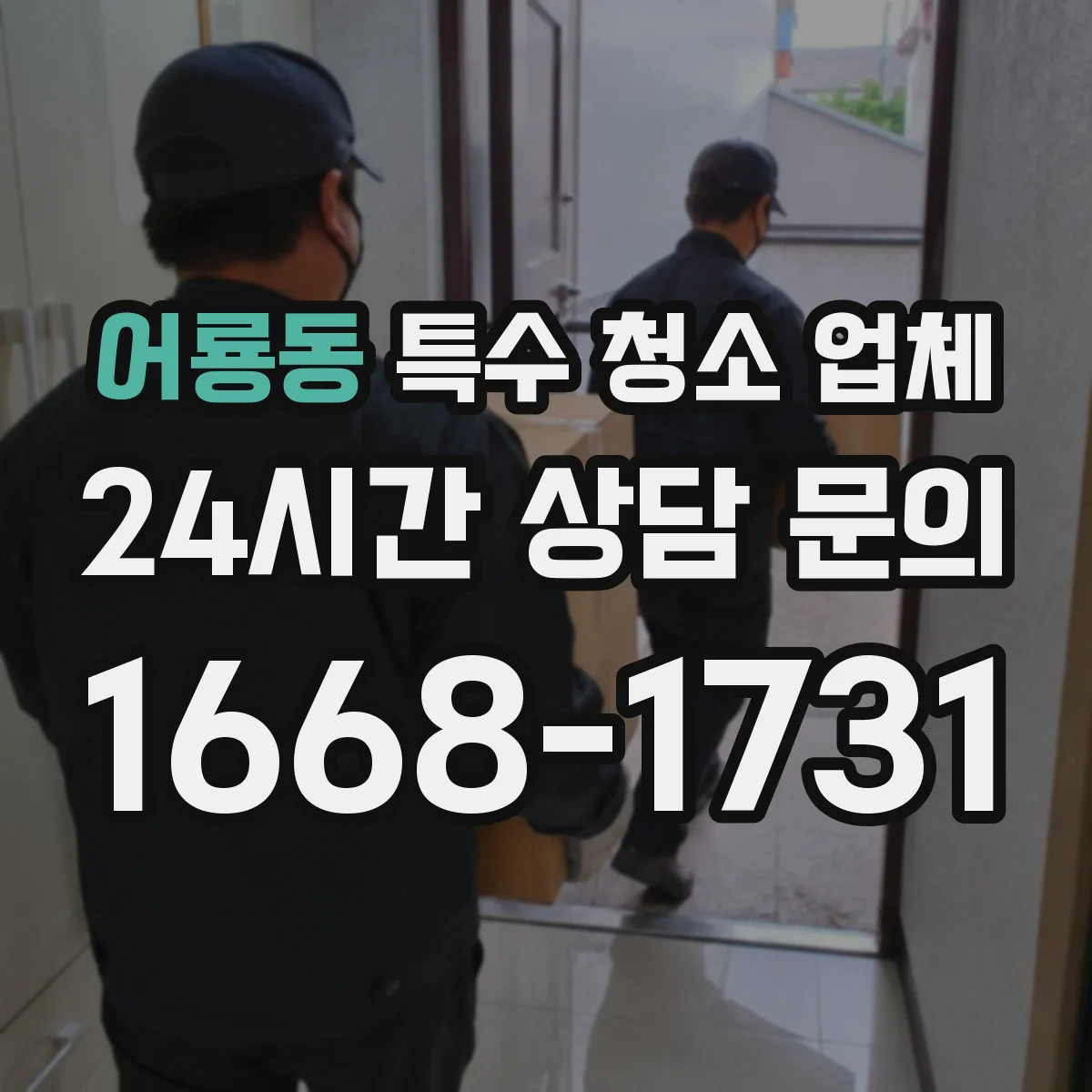 어룡동 특수 청소 업체
