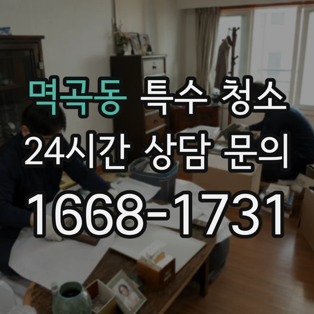 멱곡동 특수 청소