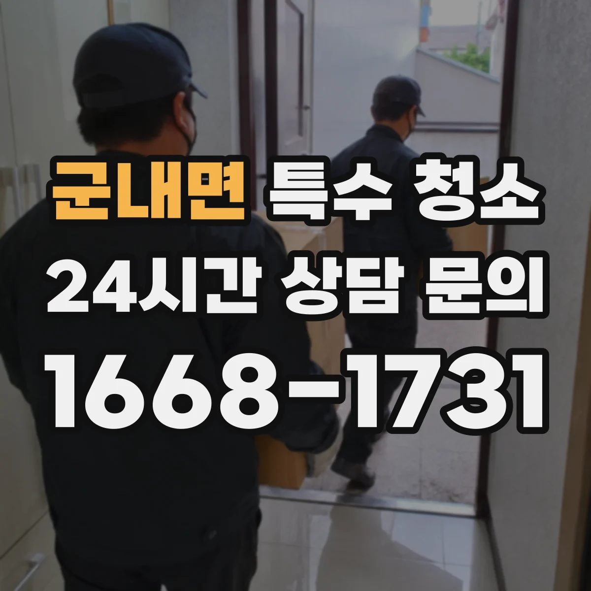 군내면 특수 청소