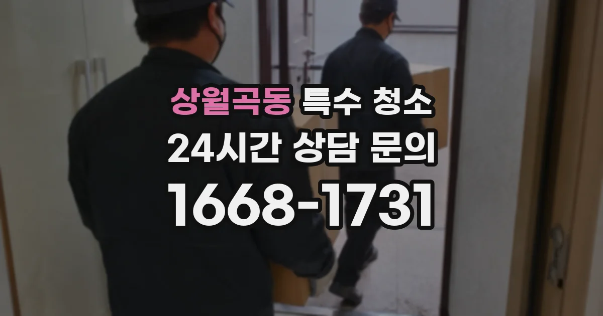 상월곡동 특수 청소