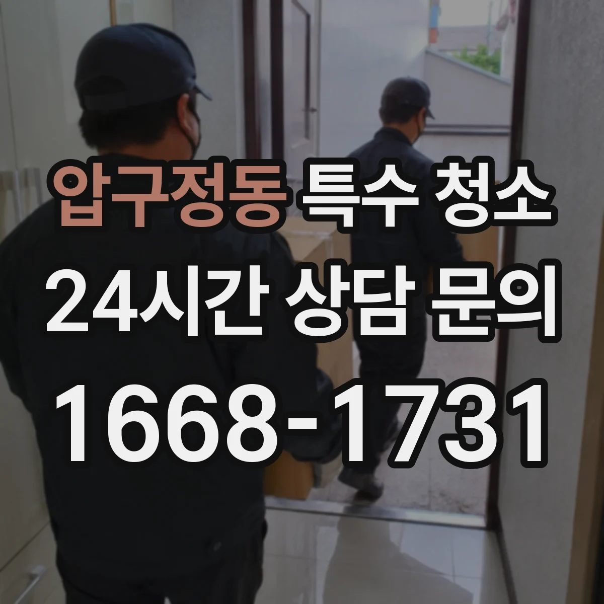 압구정동 특수 청소