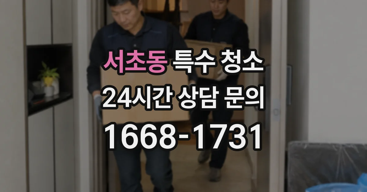 서초동 특수 청소