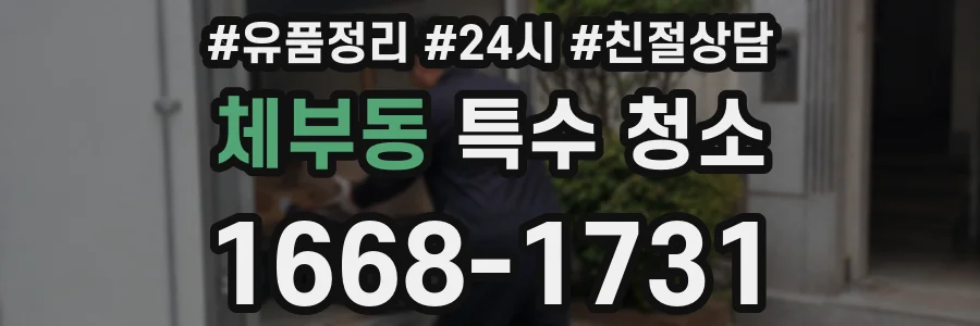 체부동 특수 청소
