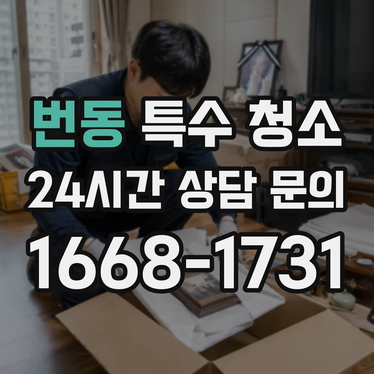 번동 특수 청소