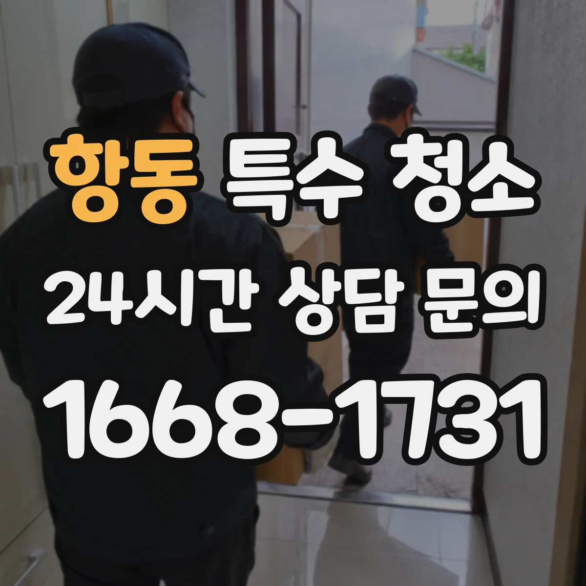 항동 특수 청소
