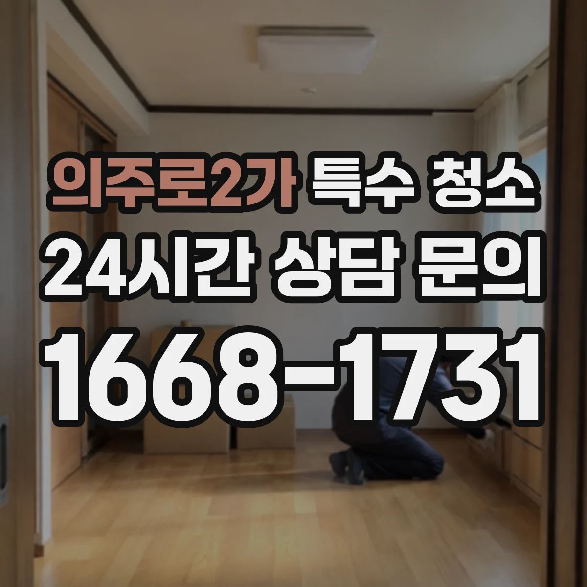 의주로2가 특수 청소