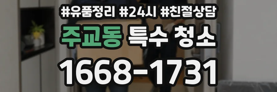 주교동 특수 청소