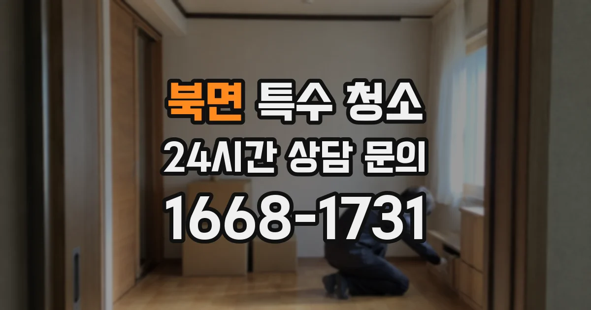 북면 특수 청소