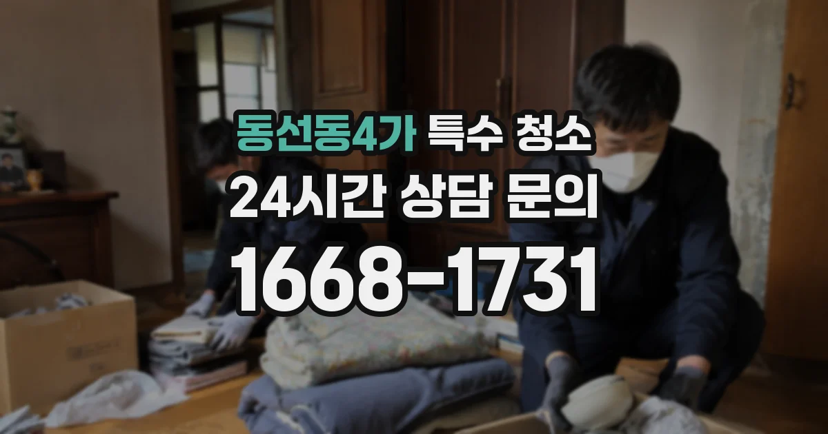 동선동4가 특수 청소