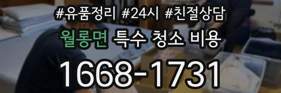 월롱면 특수 청소 비용