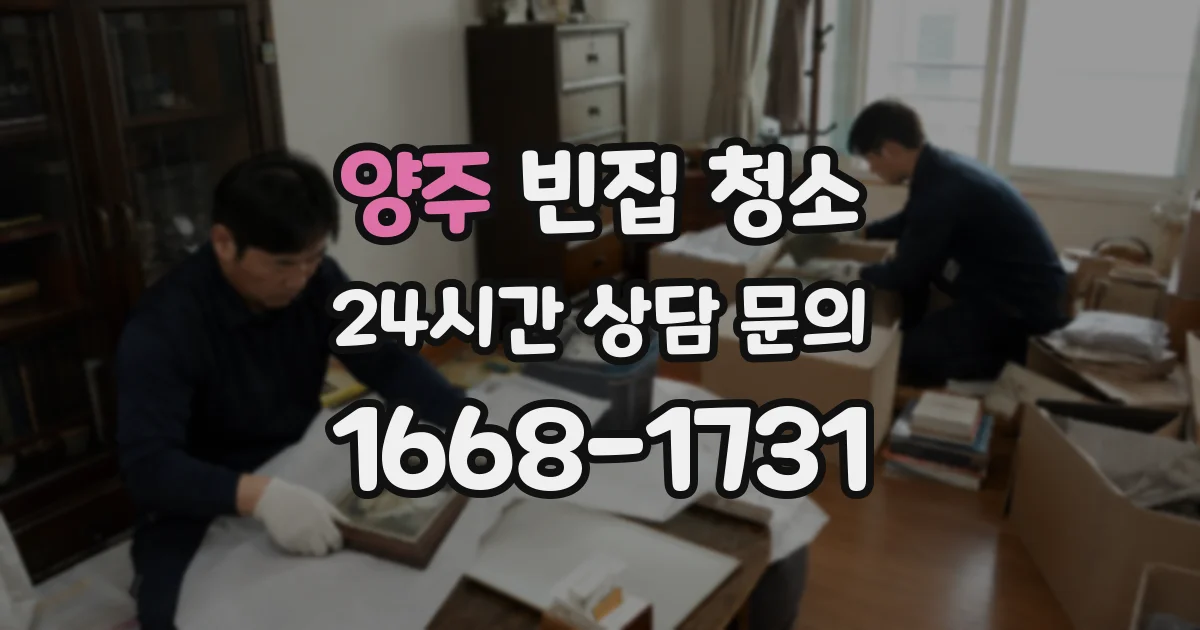 양주 빈집 청소