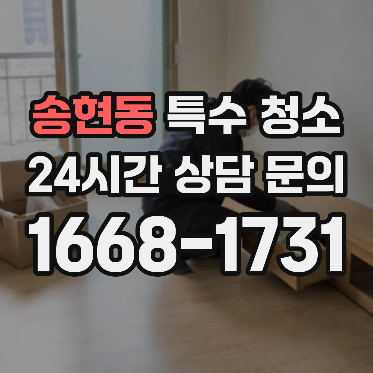 송현동 특수 청소