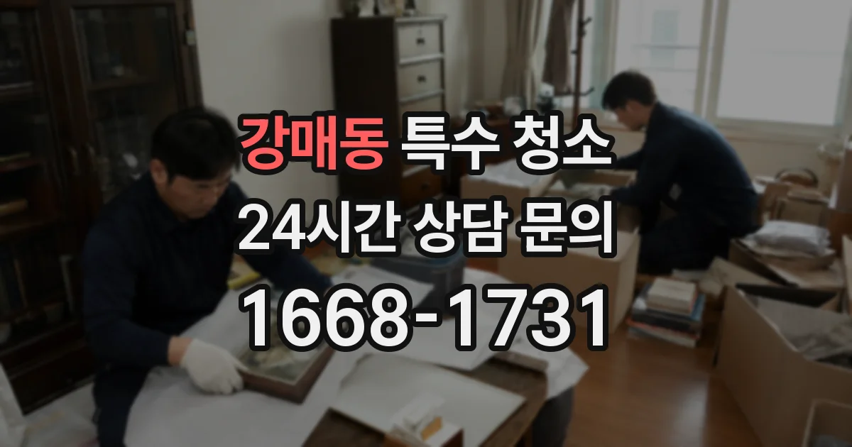 강매동 특수 청소