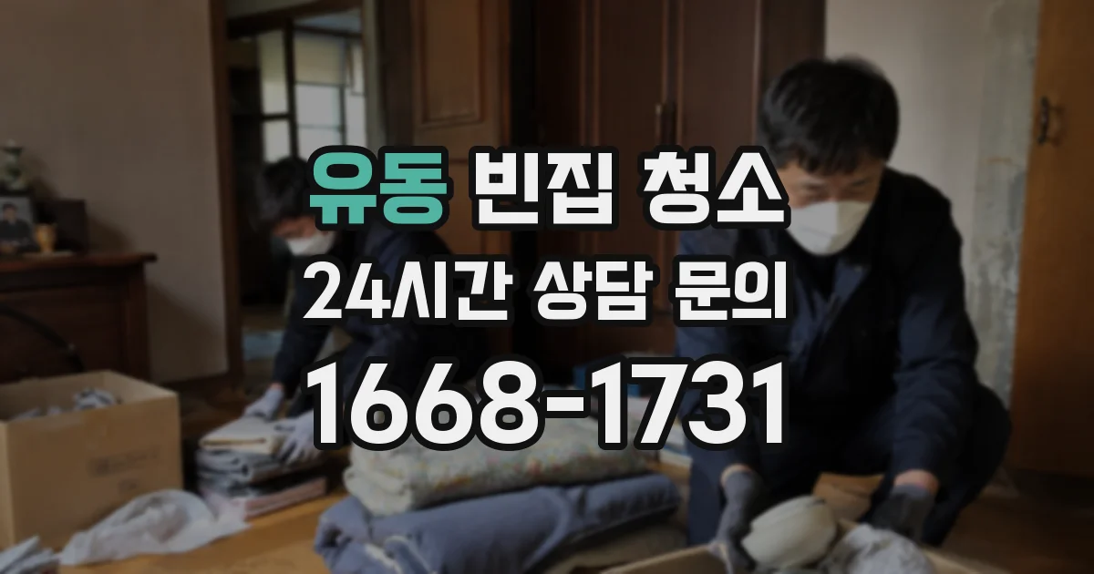유동 빈집 청소