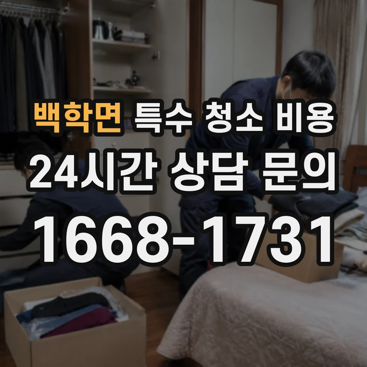 백학면 특수 청소 비용