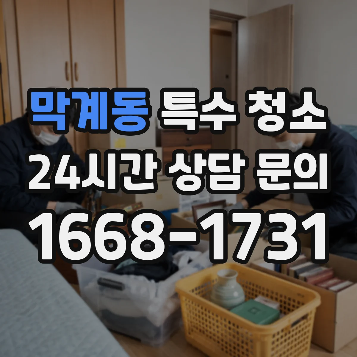 막계동 특수 청소