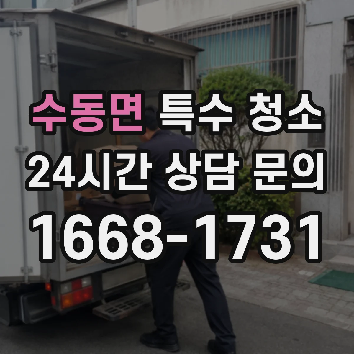 수동면 특수 청소