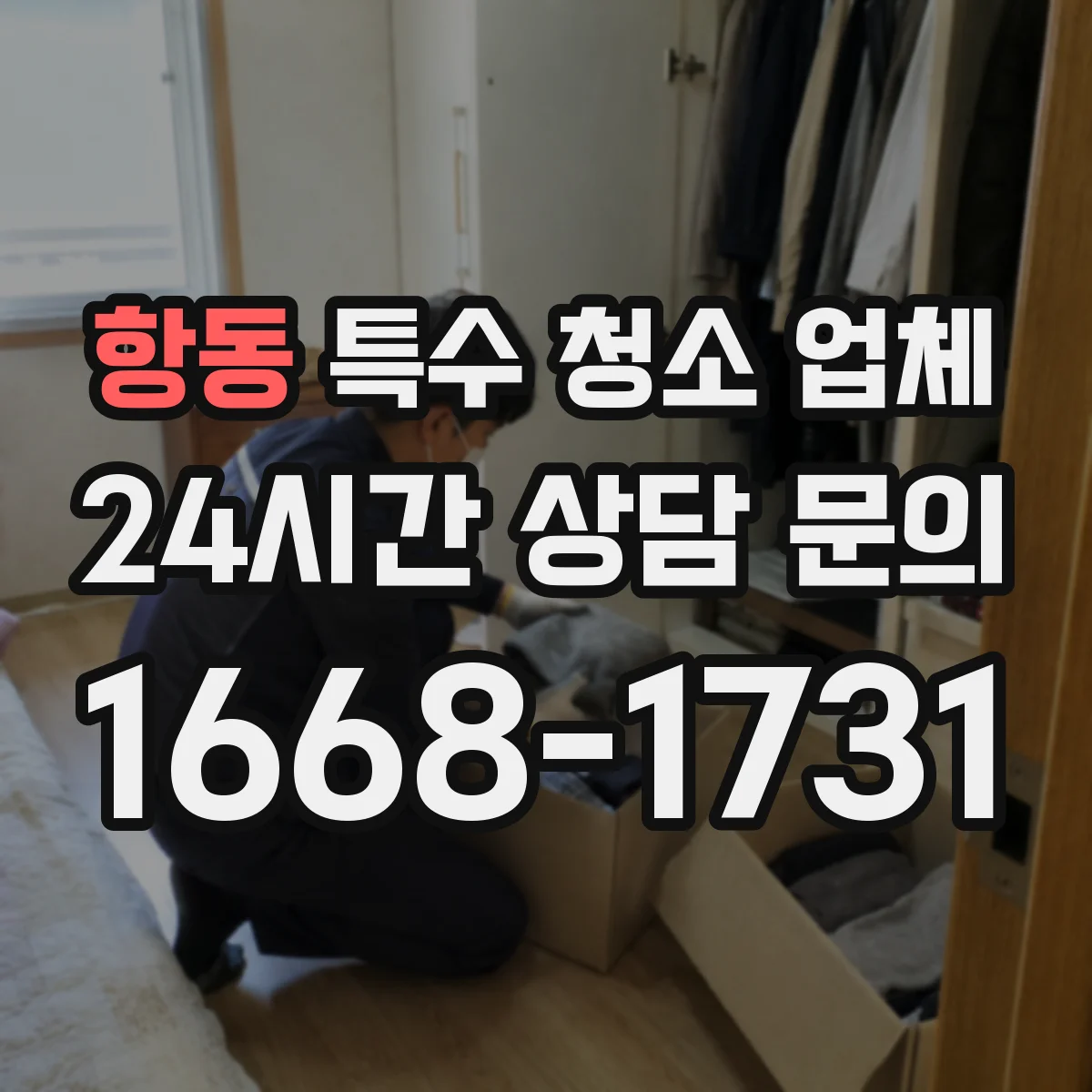 항동 특수 청소 업체