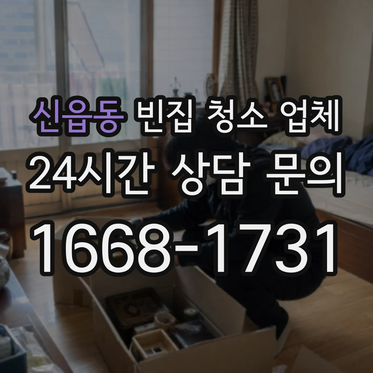 신읍동 빈집 청소 업체