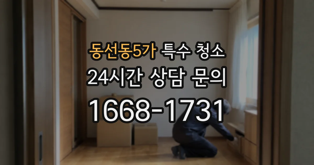 동선동5가 특수 청소