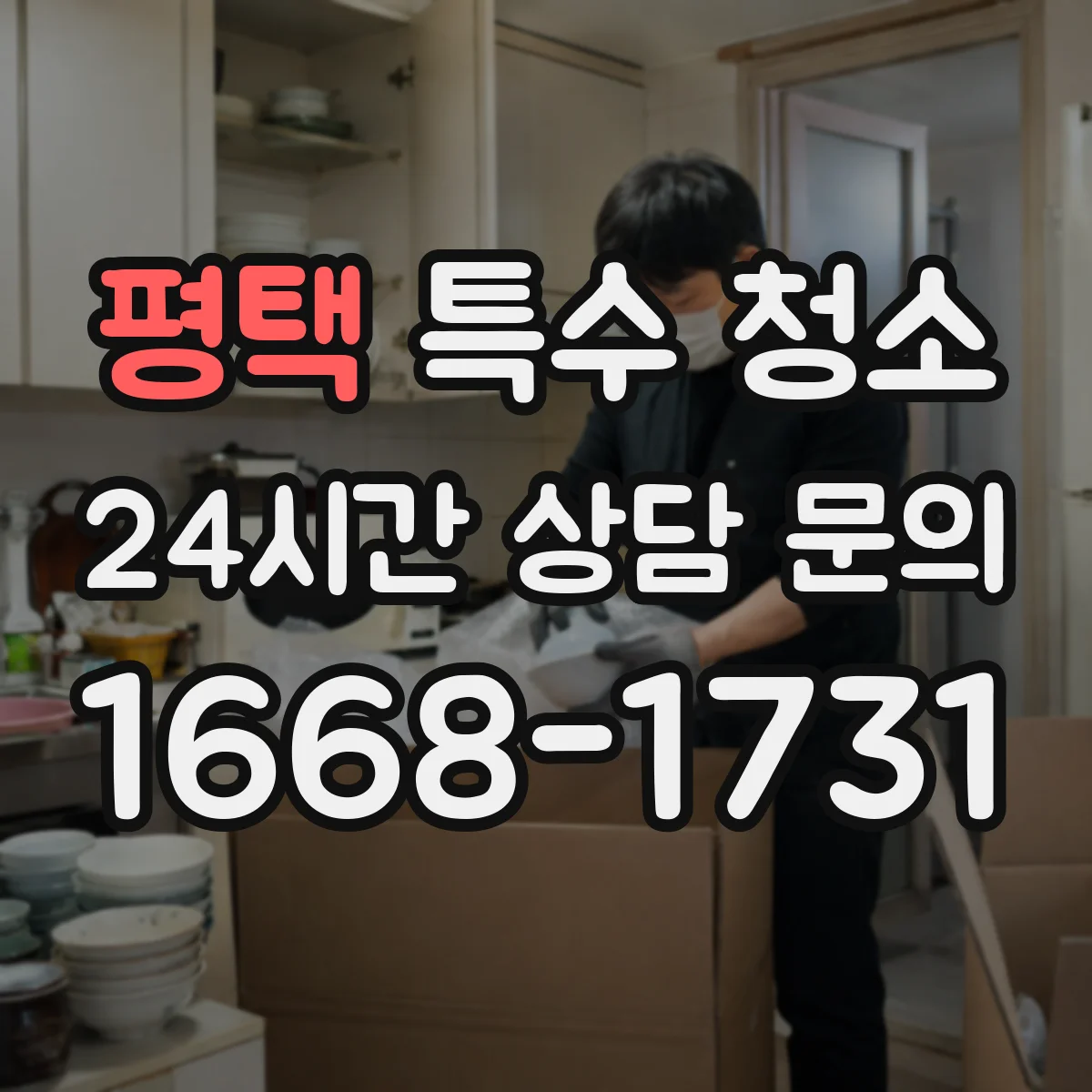 평택 특수 청소