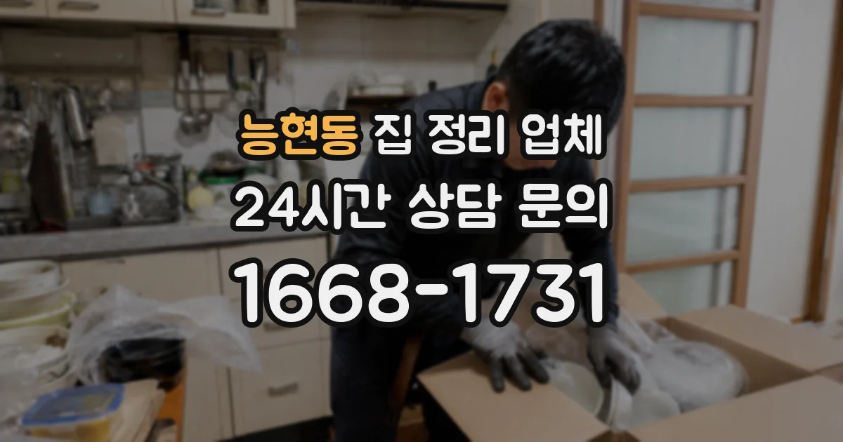 능현동 집 정리 업체