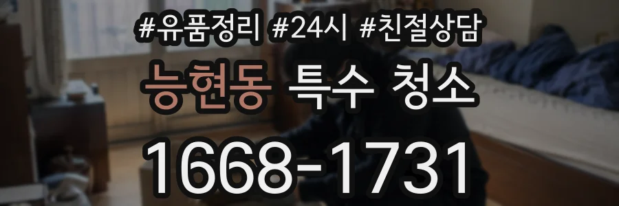 능현동 특수 청소