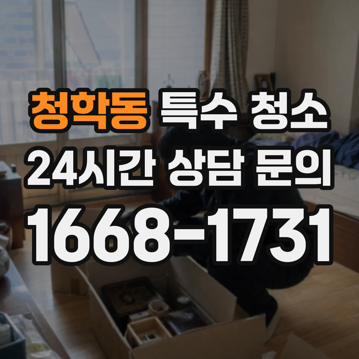 청학동 특수 청소