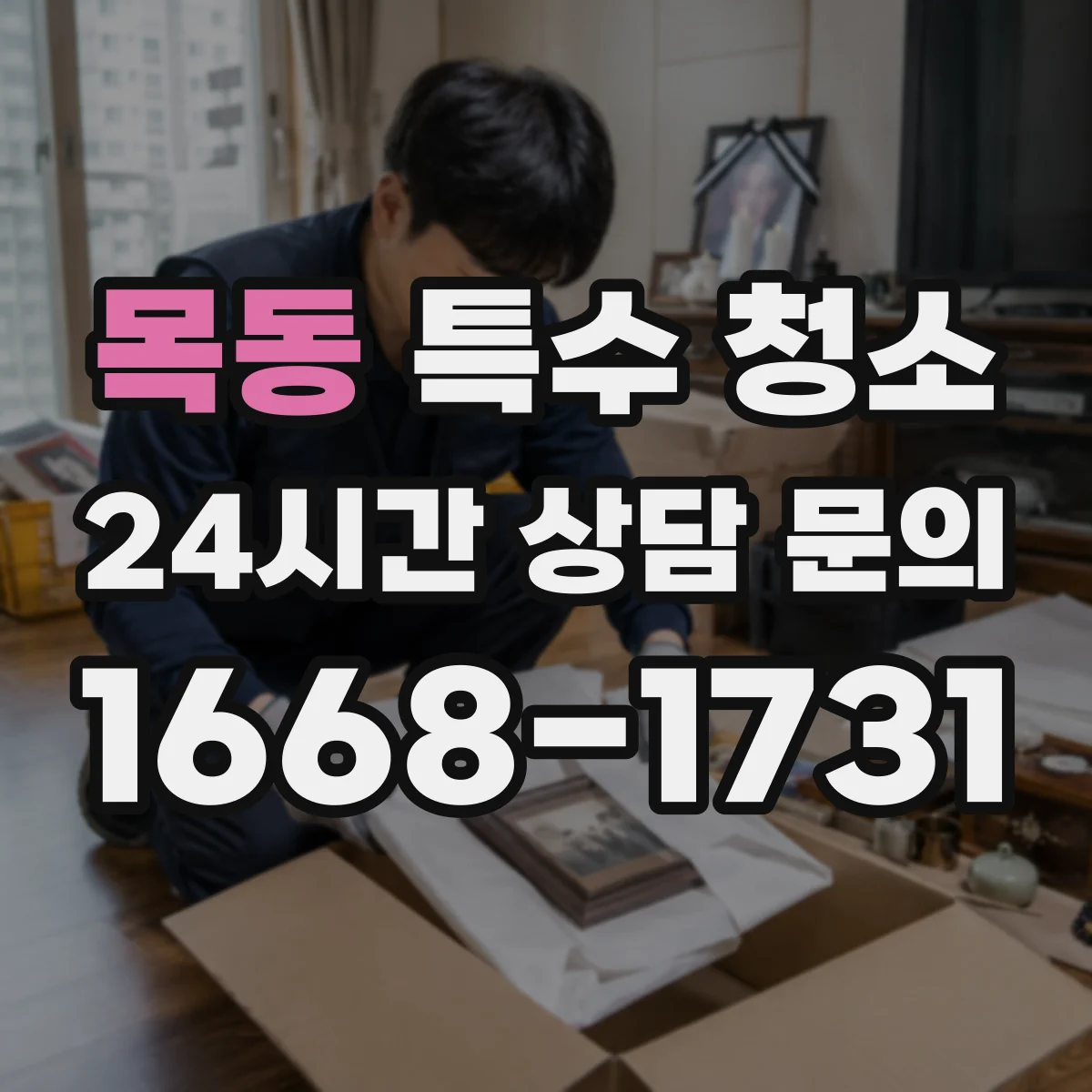목동 특수 청소