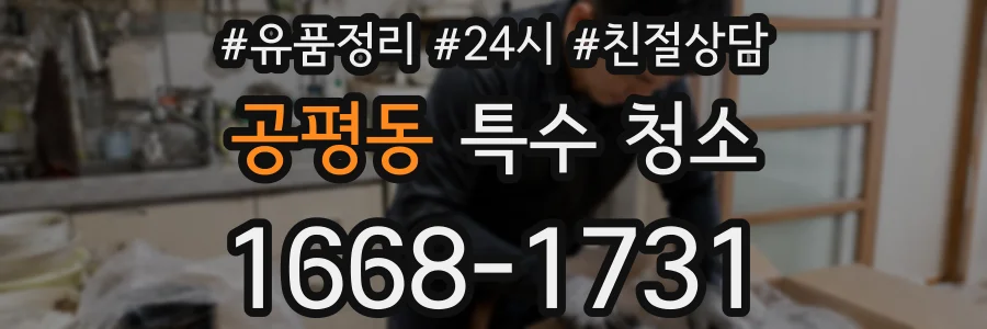 공평동 특수 청소