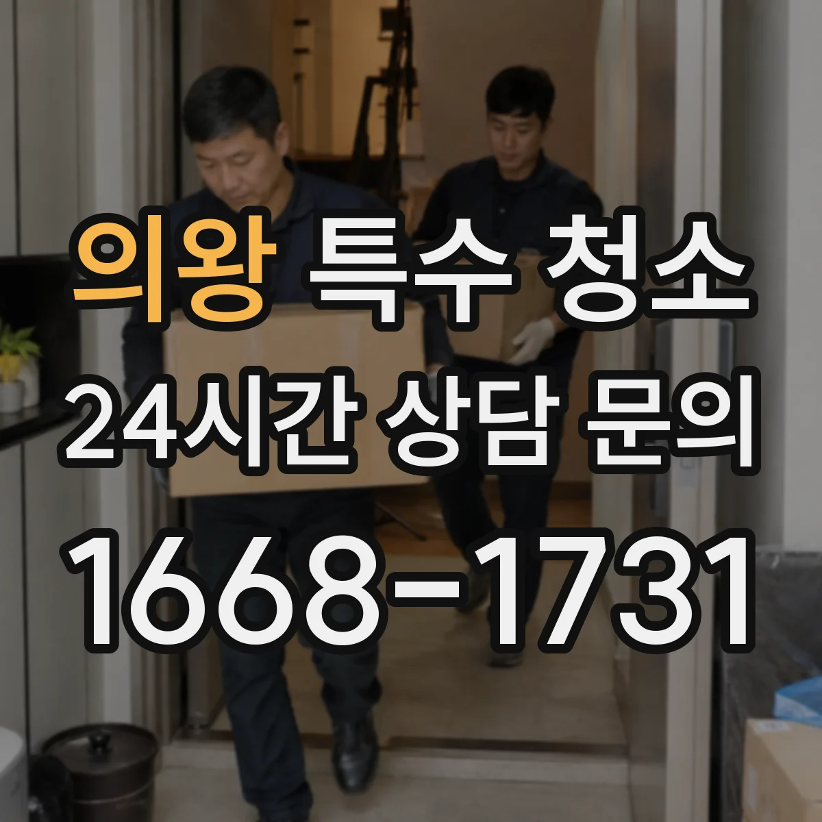 의왕 특수 청소