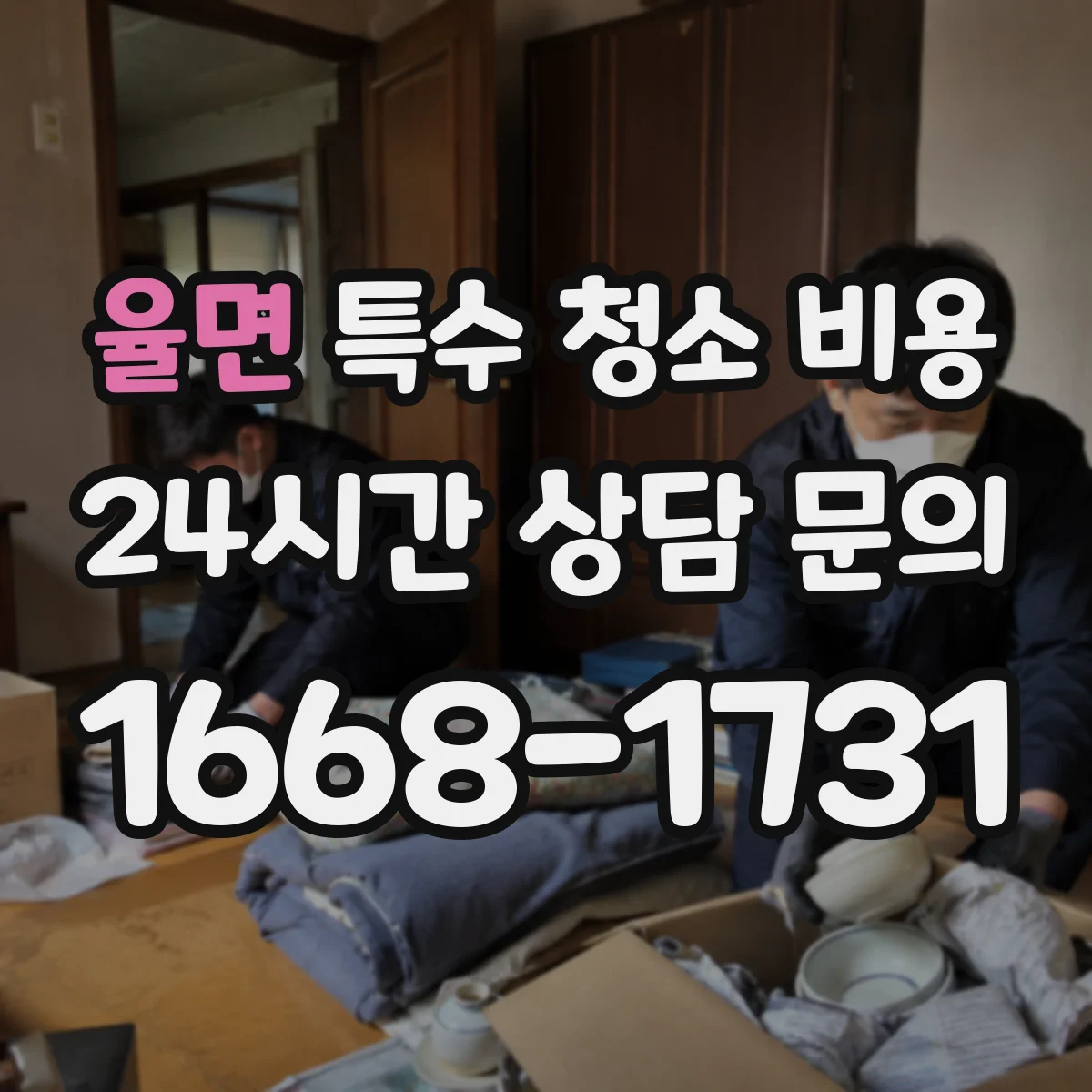 율면 특수 청소 비용