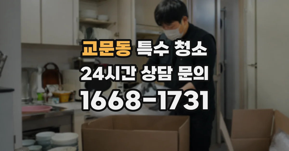교문동 특수 청소